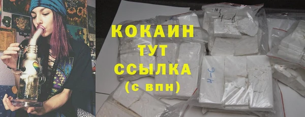 Альфа ПВП Верея