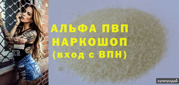 Альфа ПВП Верея