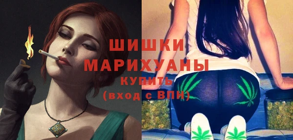 Альфа ПВП Верея