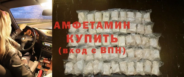 Альфа ПВП Верея