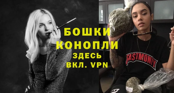Альфа ПВП Верея